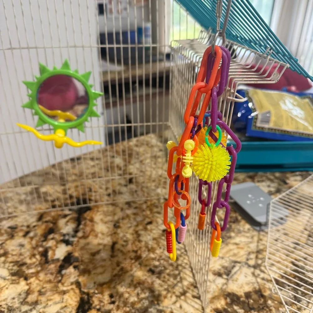 Vibrant Hanging Bird Toy Set with Bells
